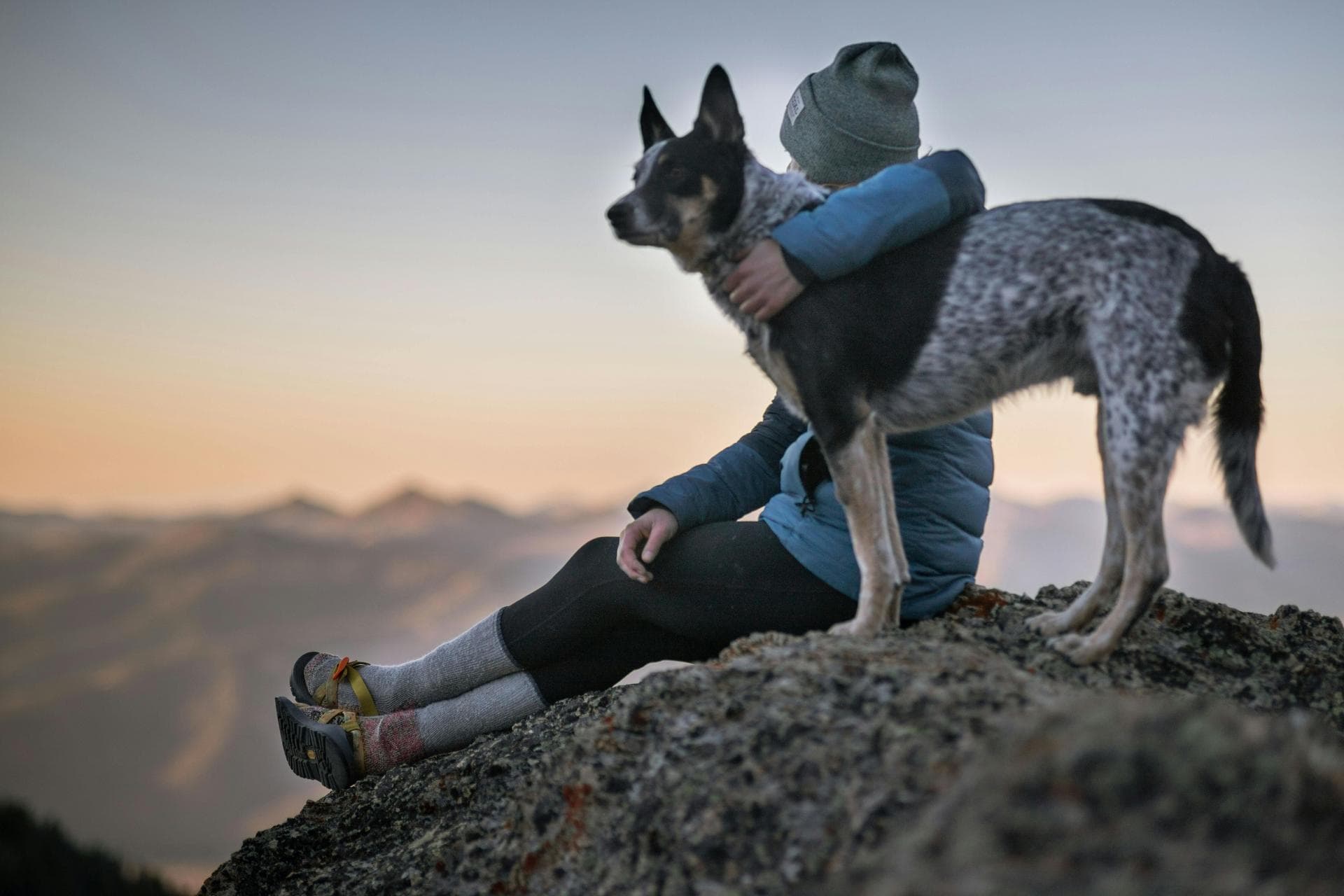 Specialist Vets in Sioux City